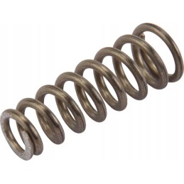 Kūginė spyruoklė rau