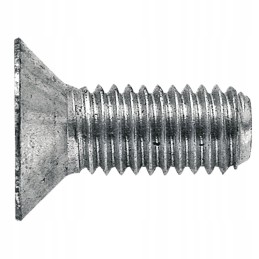 Sraigtas su galvute siloso slėgio plokštei