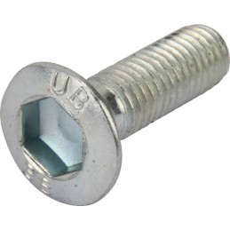 Plokščiasis varžtas su galvute m10x34