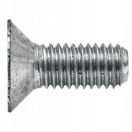 Lizdo galvutės varžtas su šešiakampiu lizdu