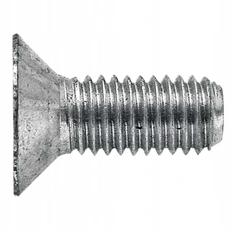 Lizdo galvutės varžtas su šešiakampiu lizdu