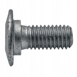 Žvaigždės lizdo varžtas 10 x 25 mm