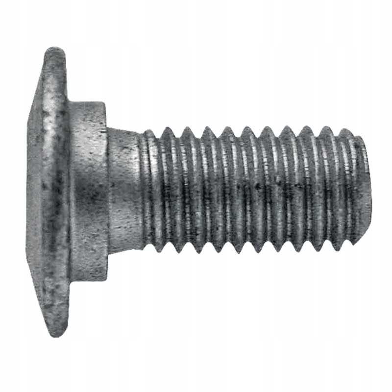 Žvaigždės lizdo varžtas 10 x 25 mm