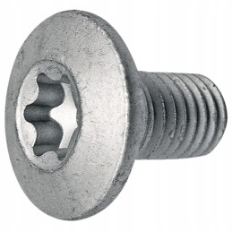 Varžtas 84926 trioliet mullos vicon pz