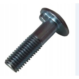 Storti varžtas 12x42