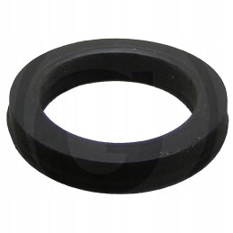 Suevia plokščia tarpinė