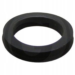 Suevia plokščia tarpinė