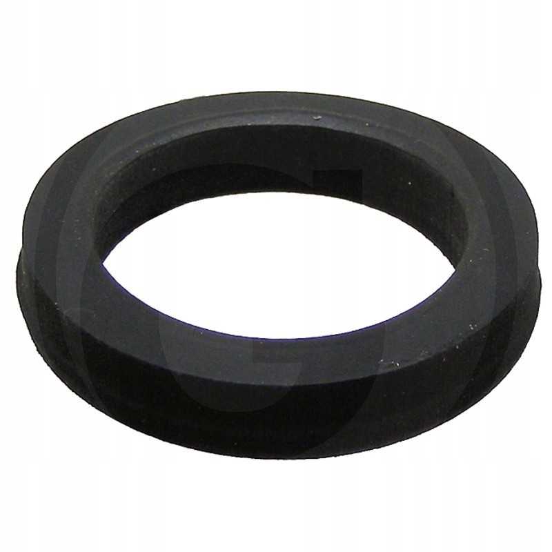 Suevia plokščia tarpinė