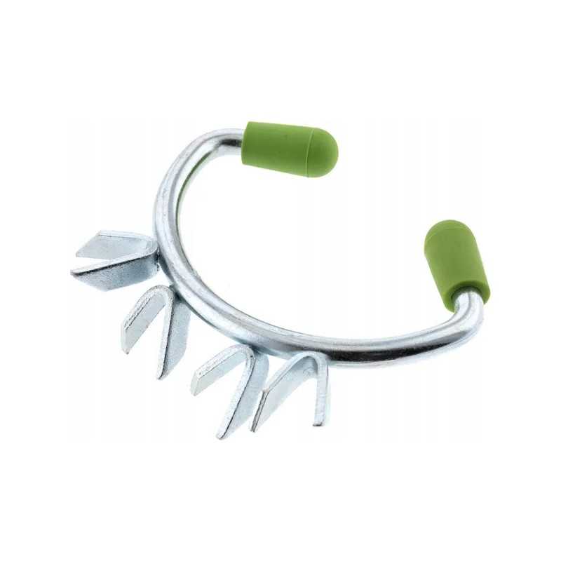 Didelis neslystantis ratas