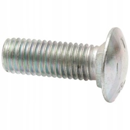 Grybuko galvutės varžtas 12x35mm