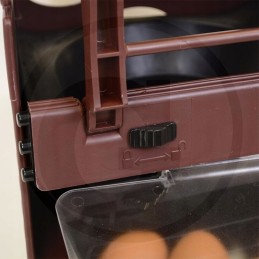 Horizont chickbox - inkilas paukščiams