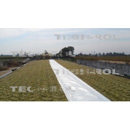 Pakloto folija 10 x 50 m ranikoveris silosui