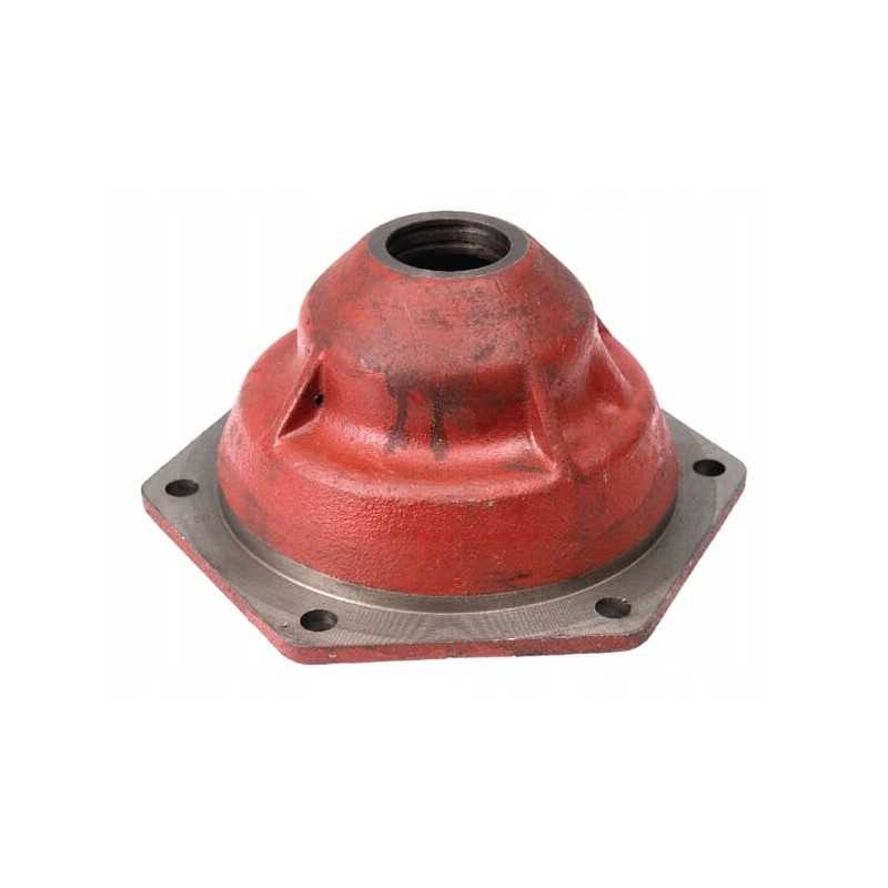 Rotoriaus guolio korpusas