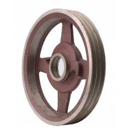 Didelis skriemulys tinka z 070