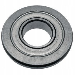 Kreipiamasis volas 122249 vaikinas