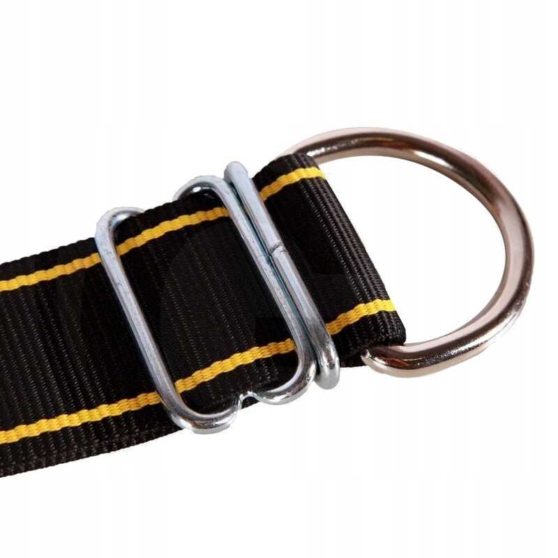 Horizontinis kaklo dirželis nailono geltonai juodas 1700x70