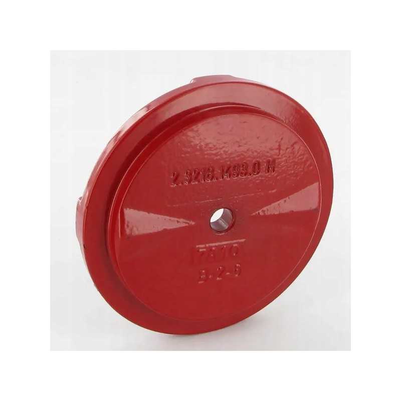 Tulpės apatinis skydas