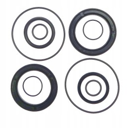 Cyclops pavaros sandariklių rinkinys, seno tipo