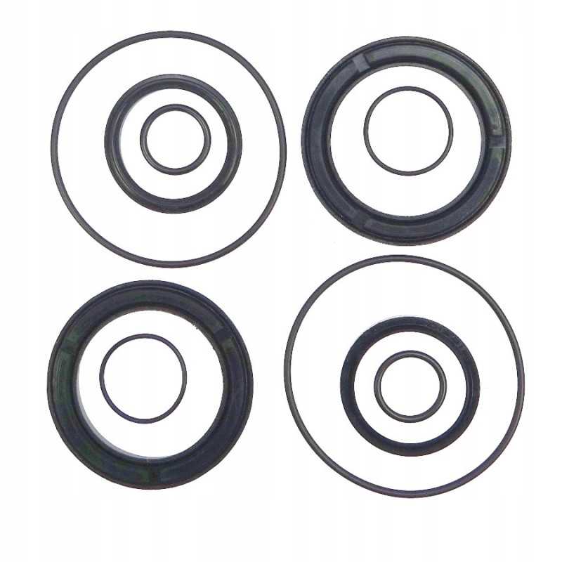 Cyclops pavaros sandariklių rinkinys, seno tipo