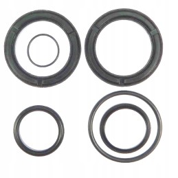 Seno tipo pavaros sandariklių rinkinys