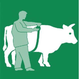 Kramp zoometrinis matas