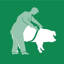 Kramp zoometrinis matas