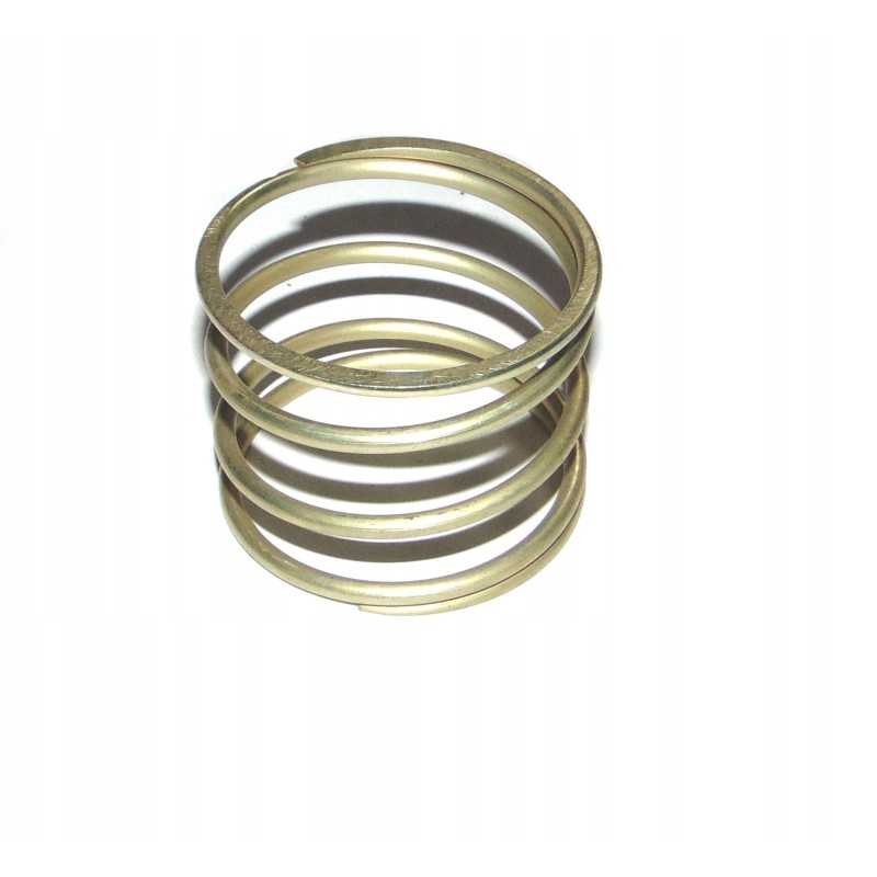 Trol krautuvo užrakto spyruoklė