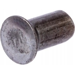 Kūginės galvutės kniedės 6x12 mm 0 5 kg