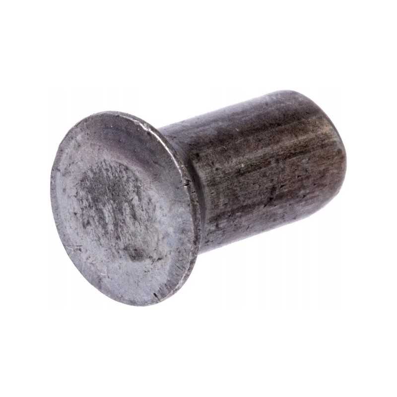Kūginės galvutės kniedės 6x12 mm 0 5 kg