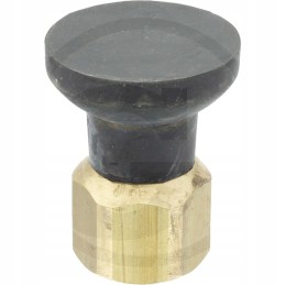 Suevia ganyklų siurblio vožtuvo kūgis