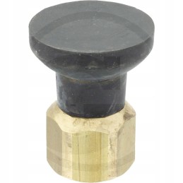 Suevia ganyklų siurblio vožtuvo kūgis