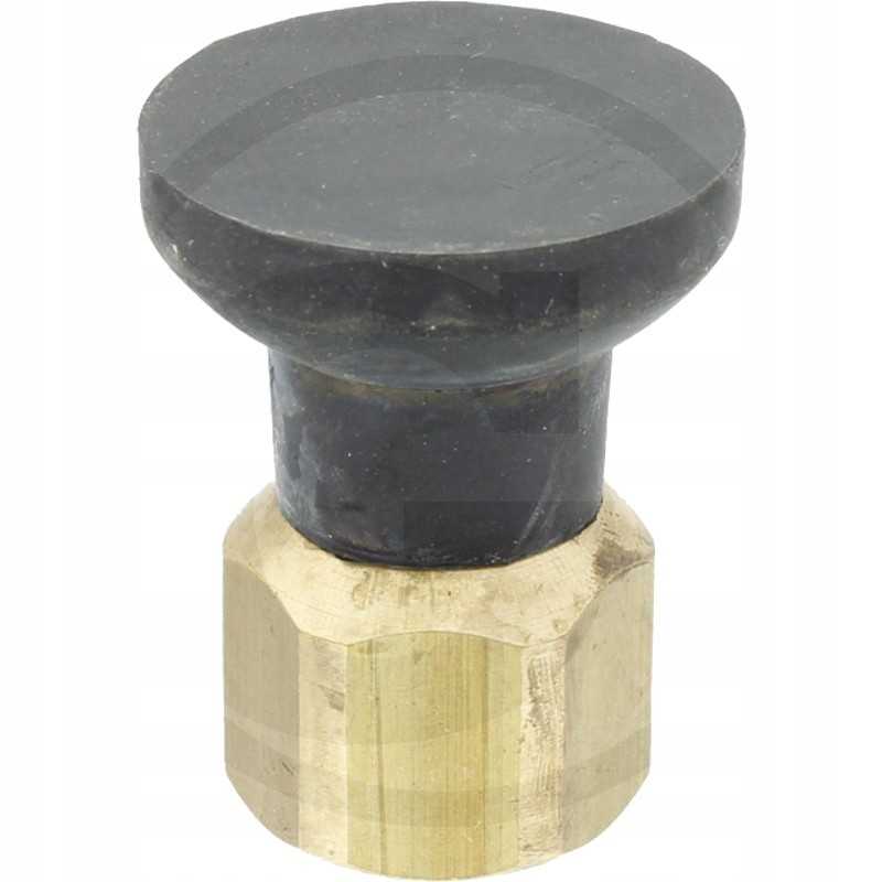 Suevia ganyklų siurblio vožtuvo kūgis