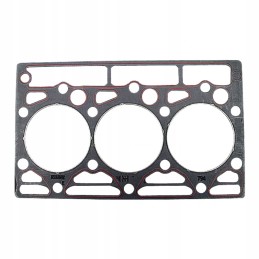 Variklio galvutės tarpinė 38002272