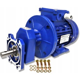 Variklis su pavara, konvejerio pavara, 550w variklis