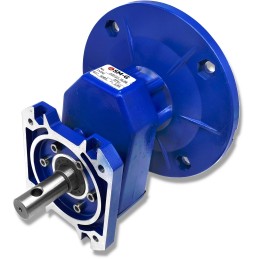 Variklis su pavara, konvejerio pavara, 550w variklis