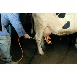 Horizont tešmens plaukų šalinimo priemonė