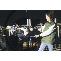 Pagrindinis karvėms skirtas lizdas leidžia lengviau nuryti mazgą