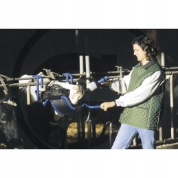 Pagrindinis karvėms skirtas lizdas leidžia lengviau nuryti mazgą