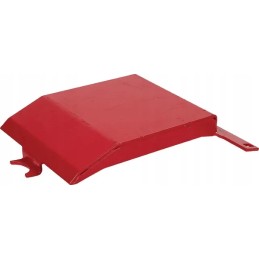 Aukštai vedanti pėda