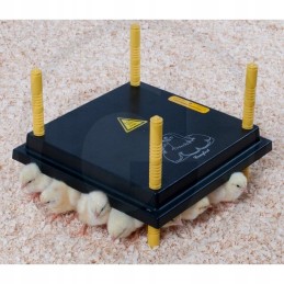 Kaitlentė 20 25 viščiukams 300x300 mm 22w