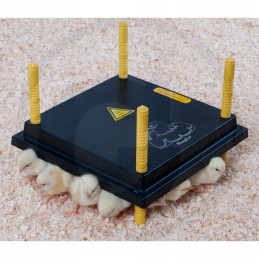 Kaitlentė 20 25 viščiukams 300x300 mm 22w