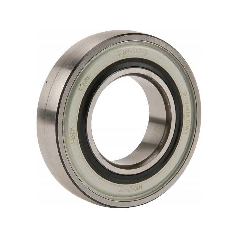 Rutulinis guolis 40 g 208 pvz