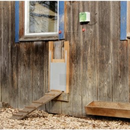 Automatinės vištienos durys su jutikliu