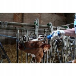 Belaidis nethorn 650c 410w faller