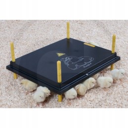 Kaitlentė 50 55 viščiukams 400x600 mm 62w