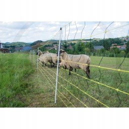 Horizontinis avių tinklas 50m x 105m 14 kuolų