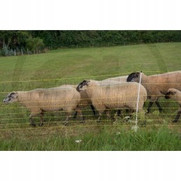 Horizontinis avių tinklas 50m x 105m 14 kuolų