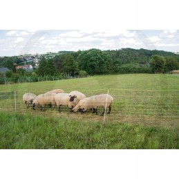 Horizontinis avių tinklas 50m x 105m 14 kuolų