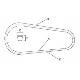 Pavaros dirzu komplektas