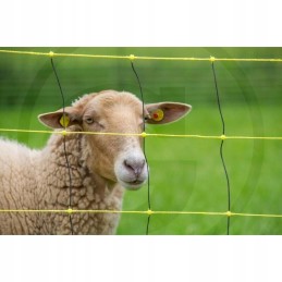 Horizontinis vilkų apsaugos tinklas 50m 0 9
